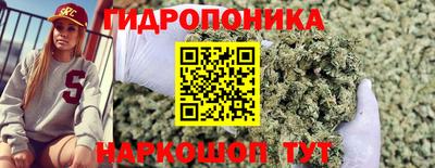 индика Кунгур