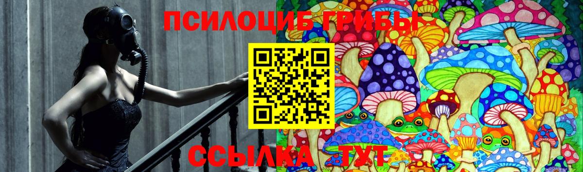 Галлюциногенные грибы GOLDEN TEACHER Аксай